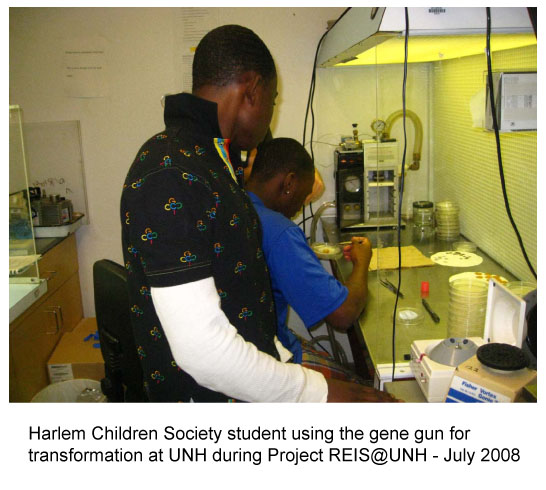 Harlem Children Society student using the gene gun for transformation at UNH during Project REIS@UNH - July 2008