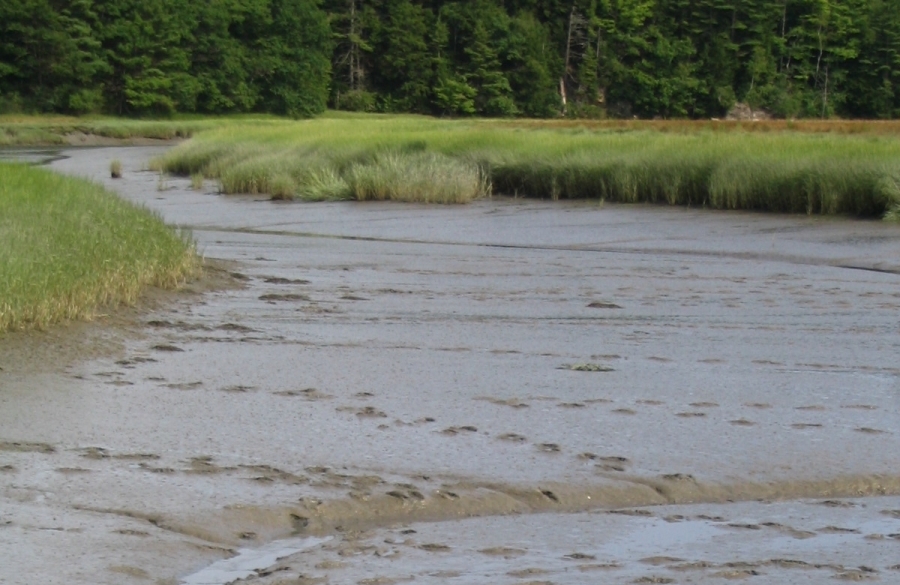 students - marine and environmental science field trip